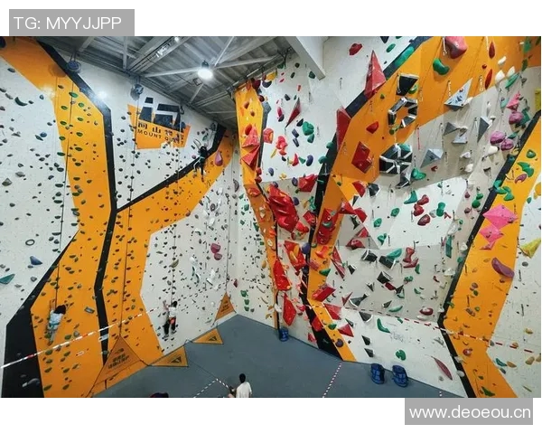 杭州攀岩队的力量与技术分析探索攀岩运动的未来发展方向